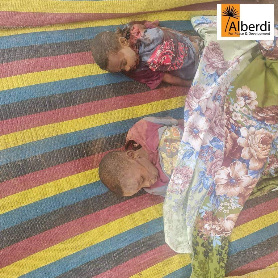 Two kids of five and seven years had been killed in South Darfur Nyala